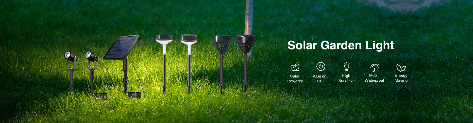 Solar Garden Lights