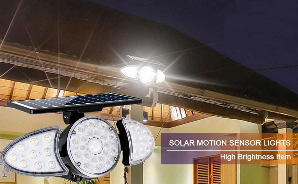 LED Flood Light